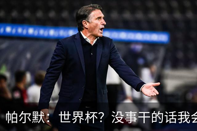 帕尔默：世界杯？没事干的话我会看看，我希望他们能走到最后