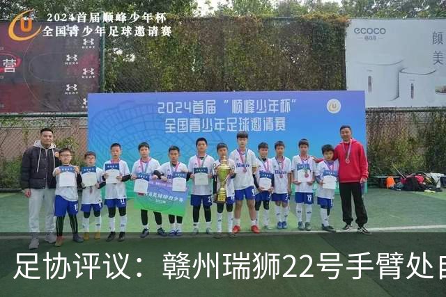 足协评议：赣州瑞狮22号手臂处自然位置不犯规；漏判泰安天贶点球