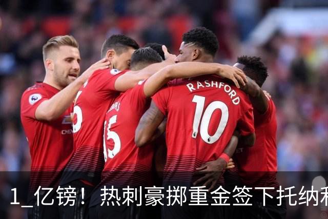 1 亿镑！热刺豪掷重金签下托纳利，双中场豪购背后暗藏财政博弈